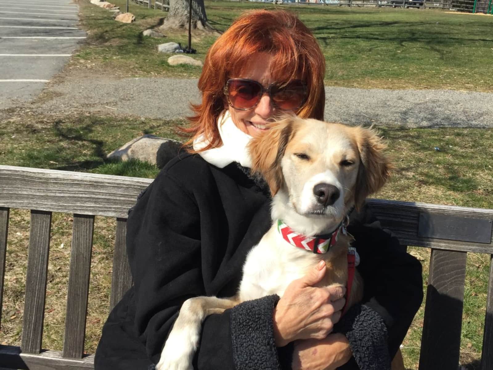 Daphne from Rockport, Massachusetts, United States