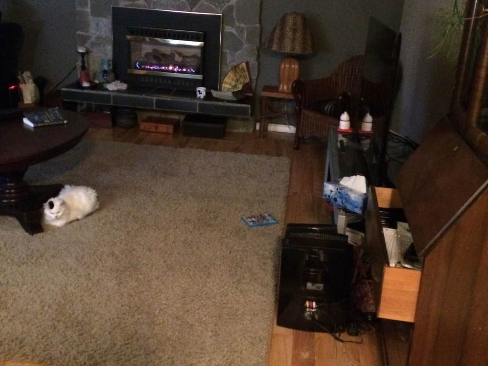 Housesitting assignment in Ganges, British Columbia, Canada
