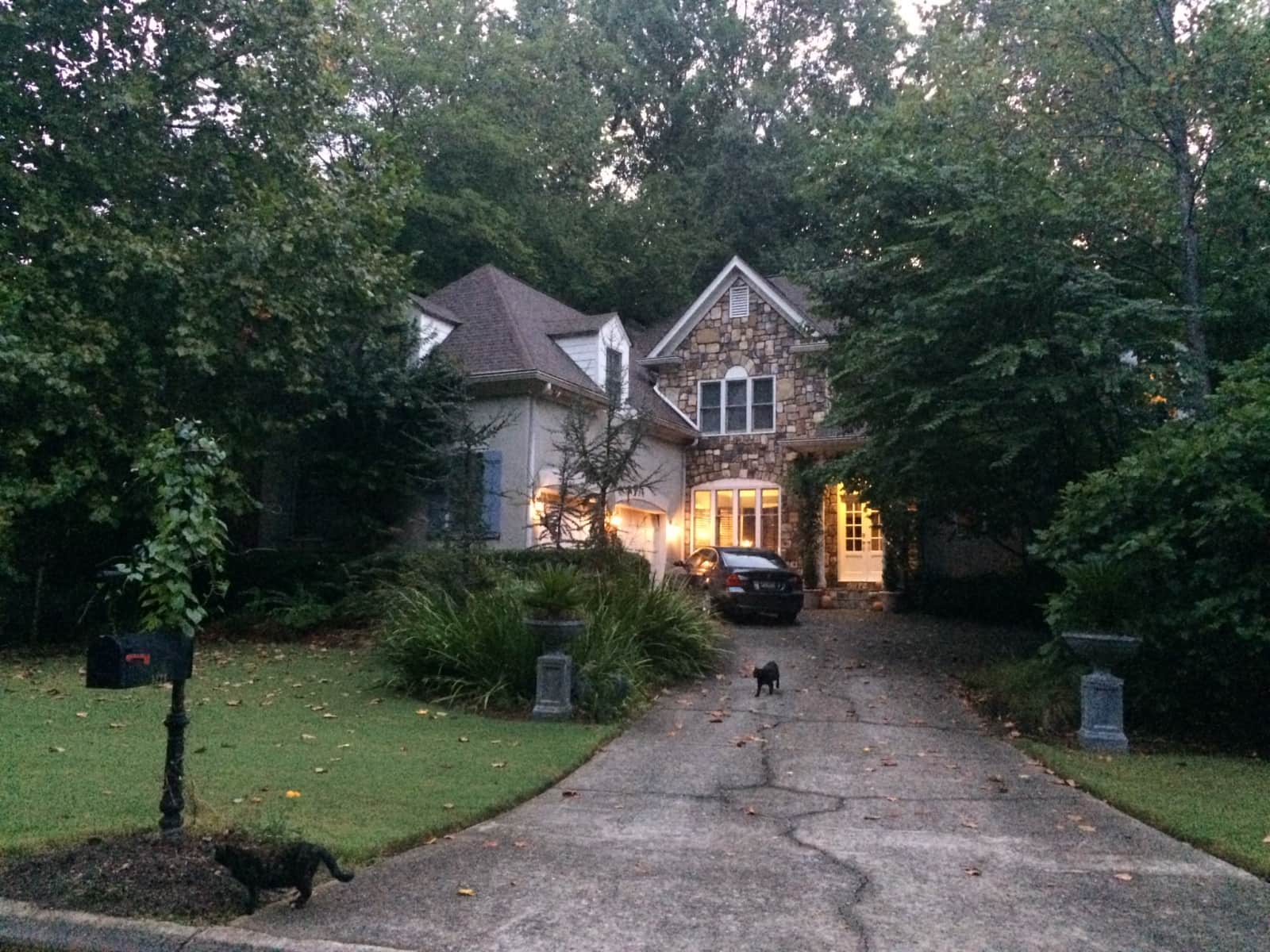 Housesitting assignment in Roswell, Georgia, United States
