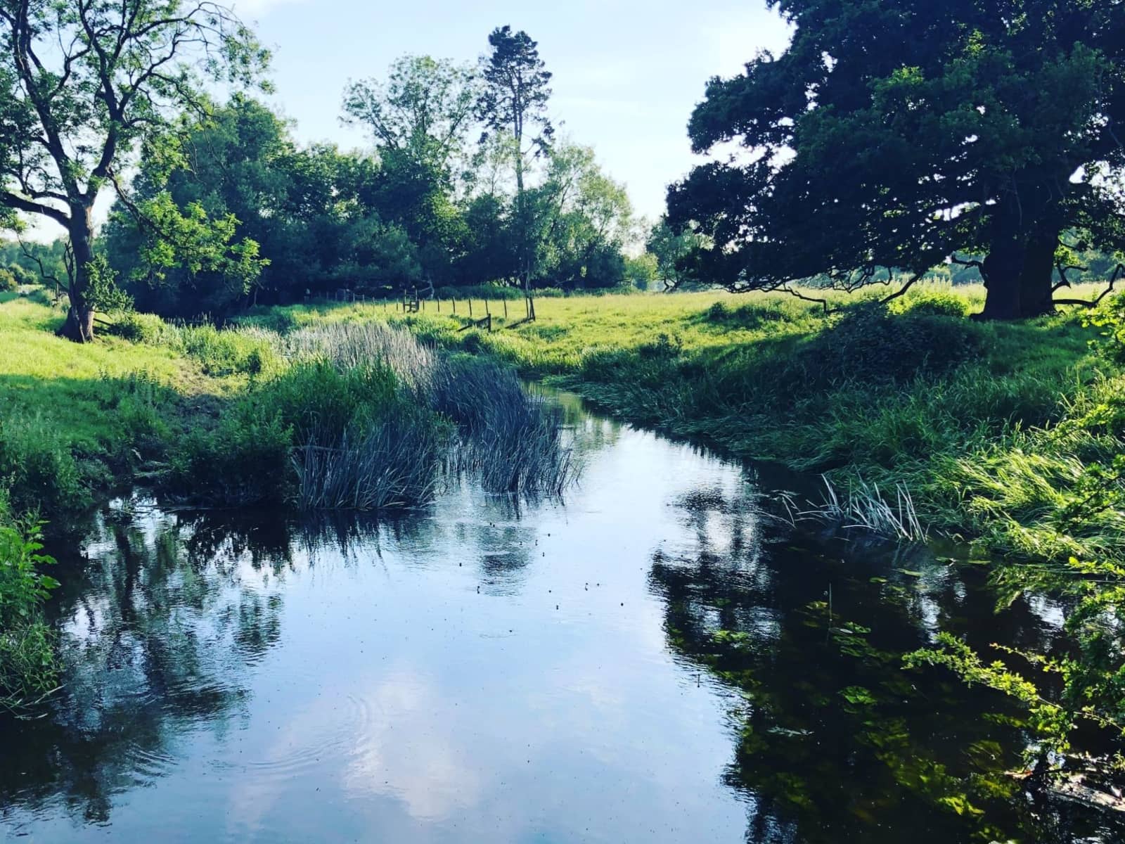 Housesitting assignment in Thame, United Kingdom