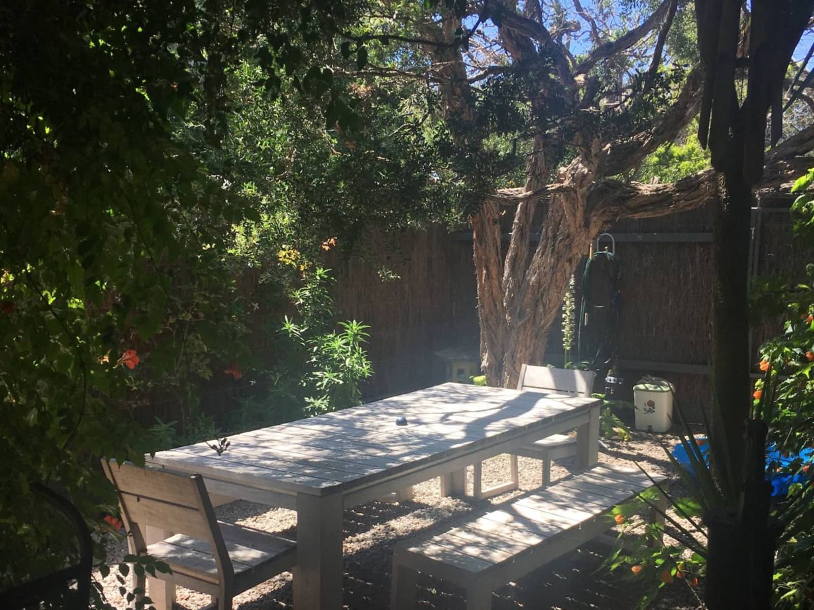 Housesitting assignment in Blairgowrie, Victoria, Australia