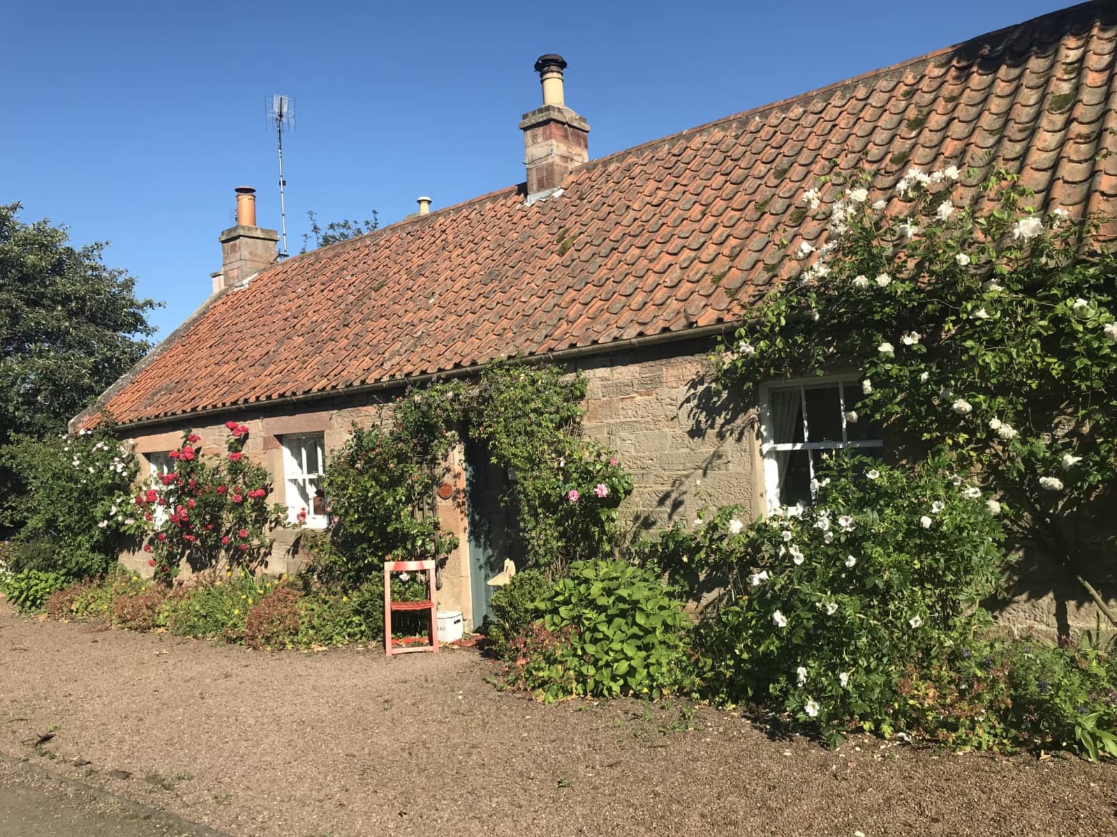 Housesitting assignment in Dunbar, United Kingdom