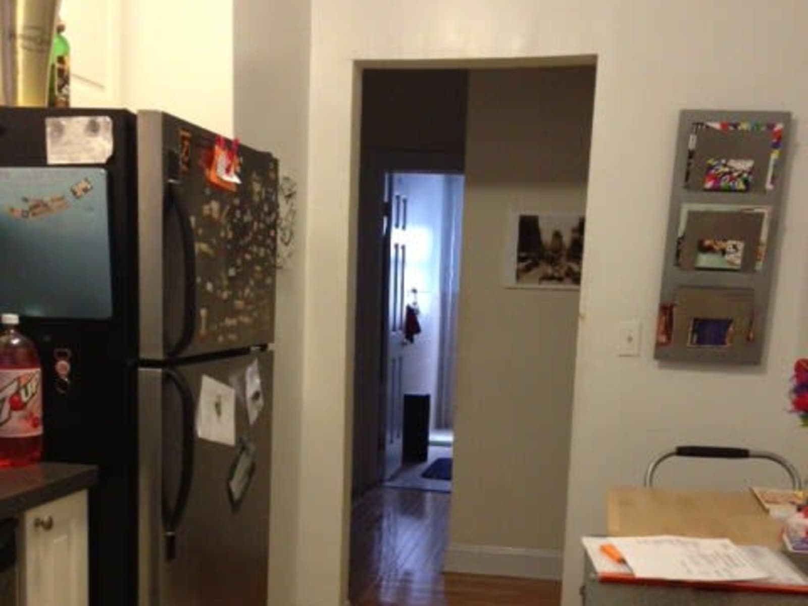 Housesitting assignment in New York City, New York, United States
