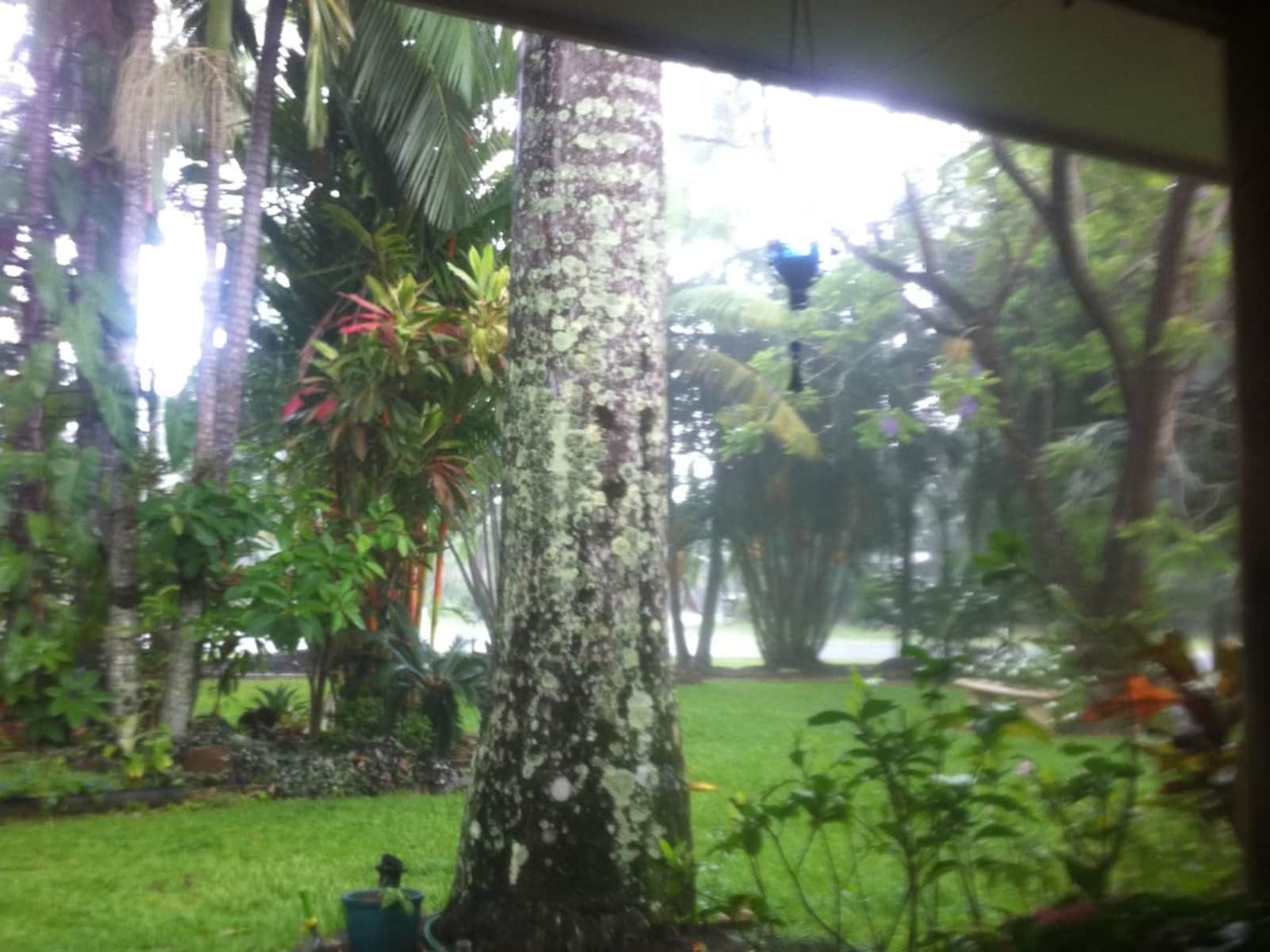 Housesitting assignment in Clifton Beach, Queensland, Australia