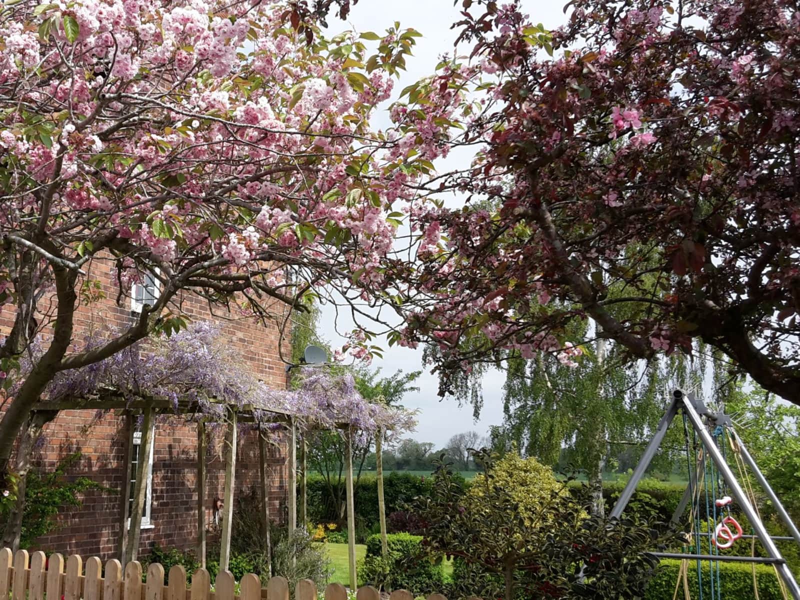 Housesitting assignment in Lymm, United Kingdom