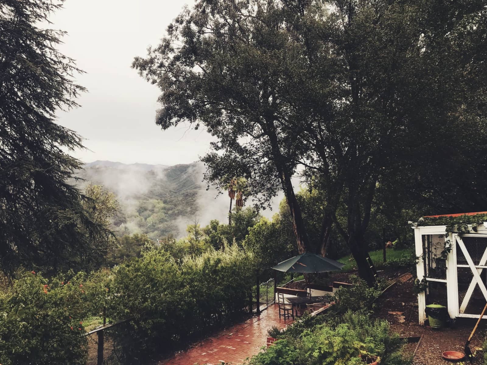 Housesitting assignment in Topanga, California, United States