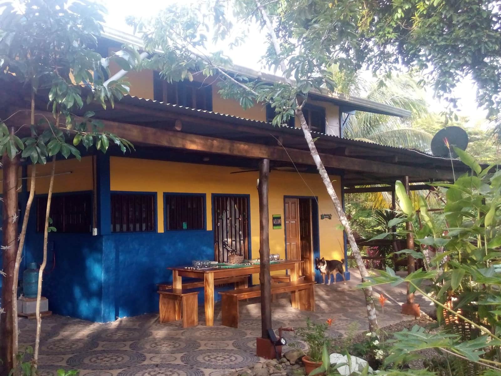 Housesitting assignment in Matapalo, Costa Rica