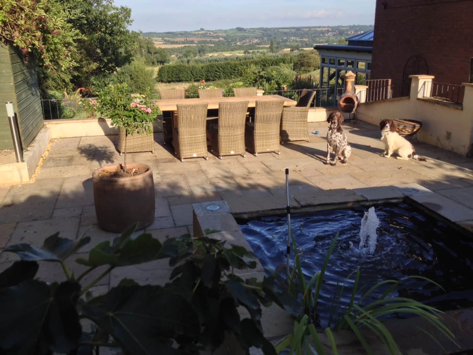 Housesitting assignment in Swadlincote, United Kingdom