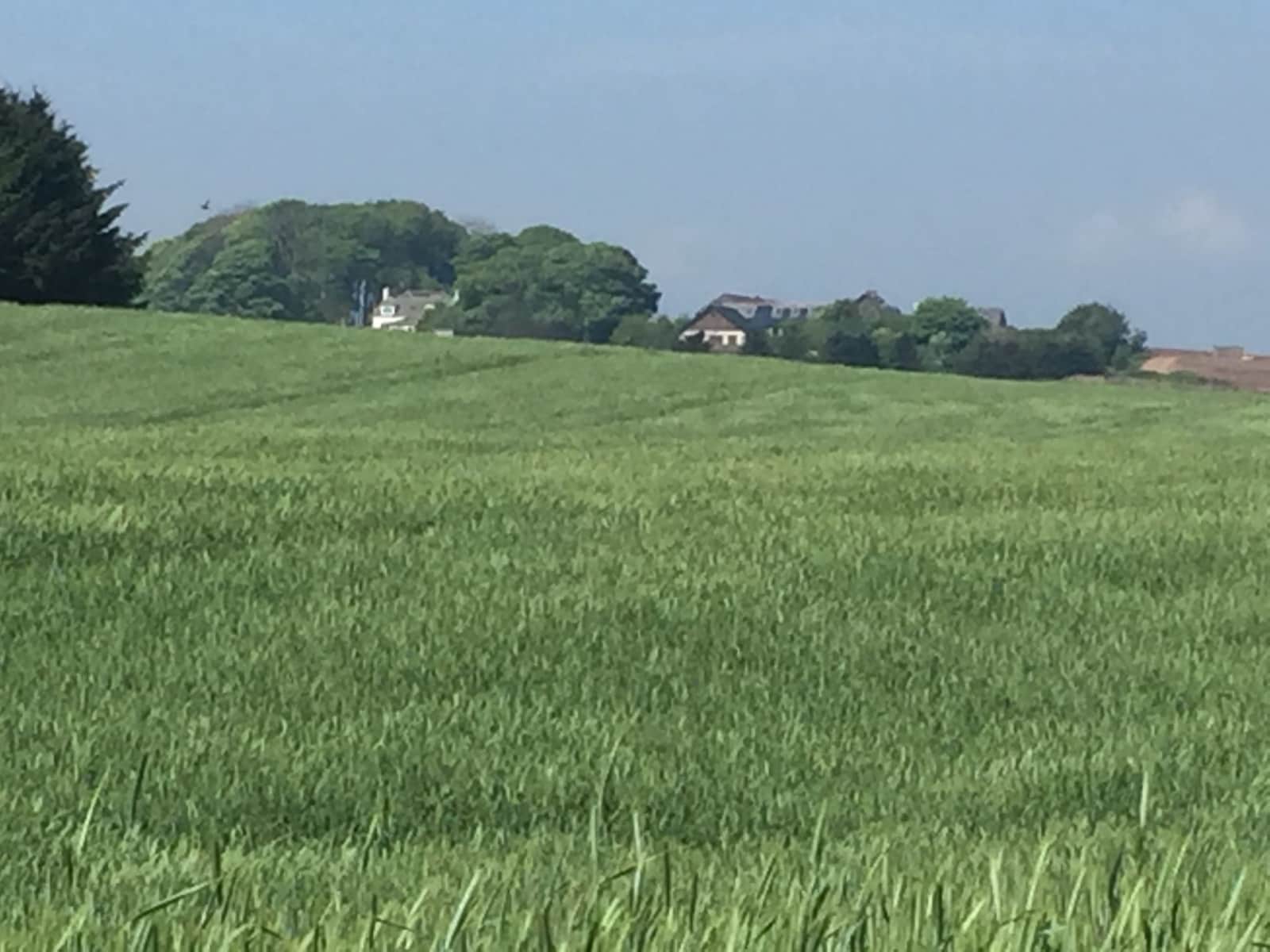 Housesitting assignment in Stonehaven, United Kingdom
