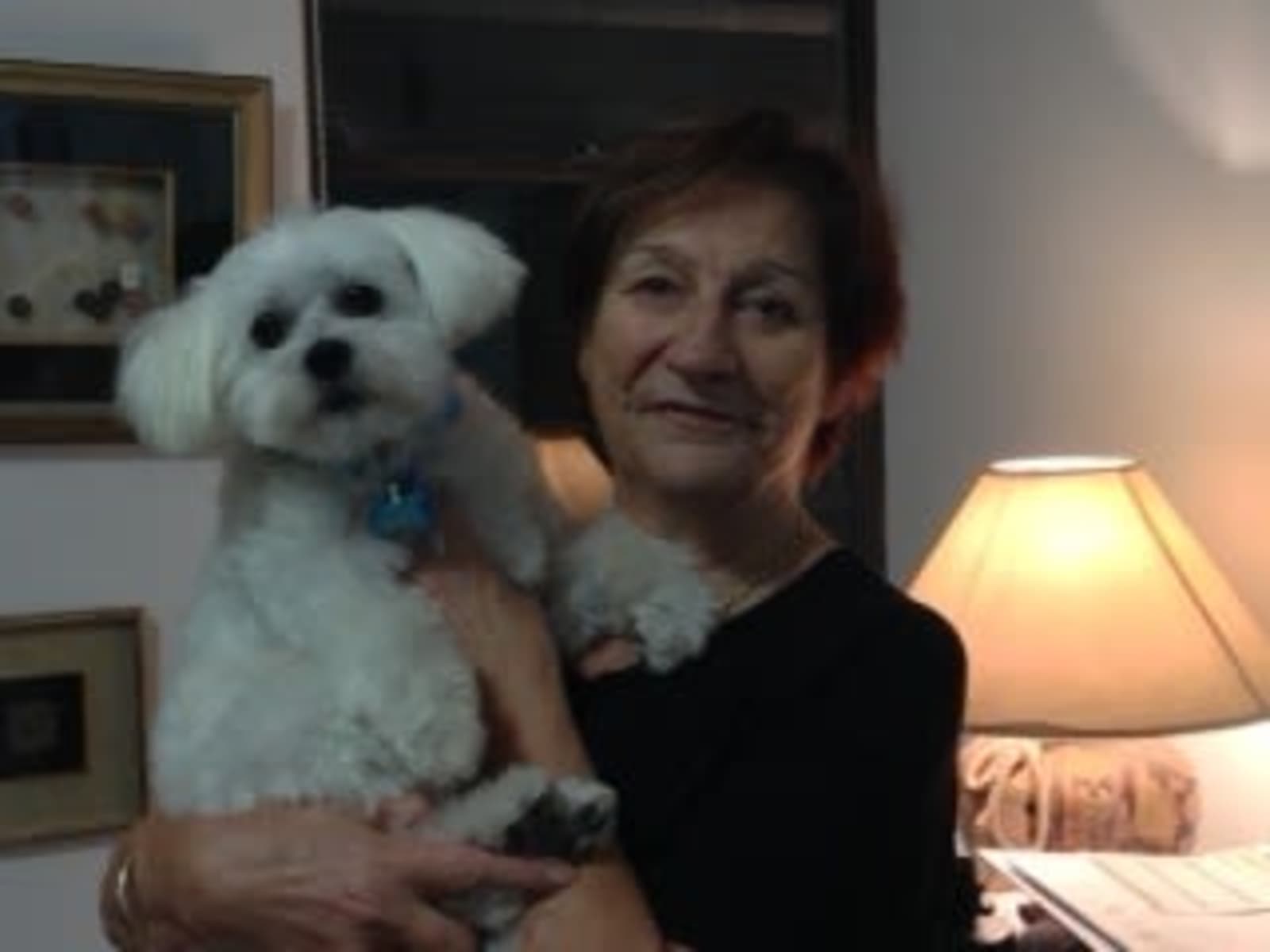 Jill from Wellington, New Zealand
