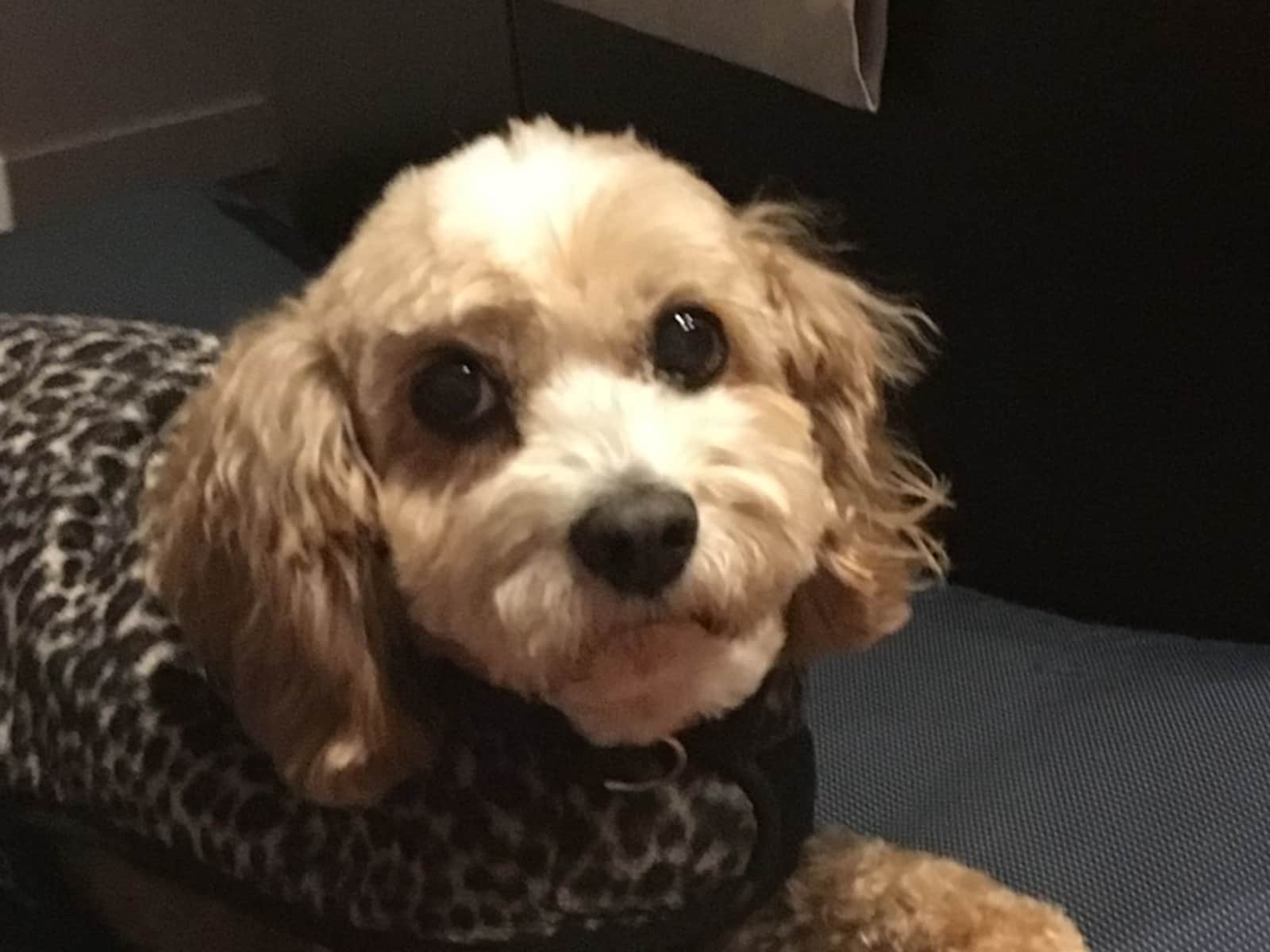 Sharyn from Sydney, New South Wales, Australia