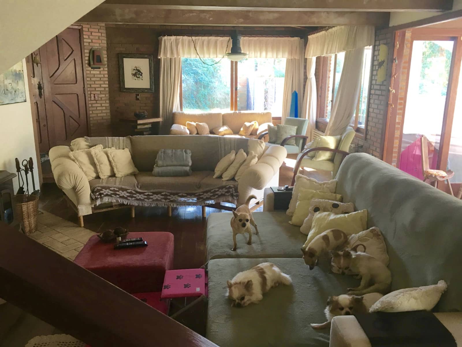 Housesitting assignment in Porto Alegre, Brazil
