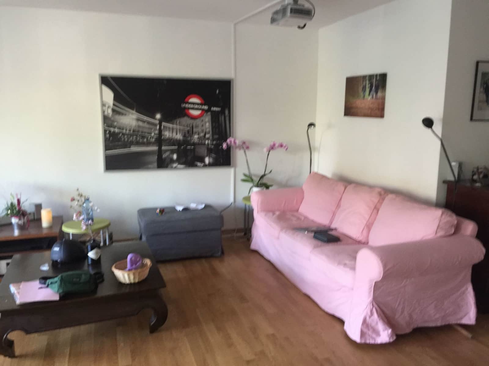 Housesitting assignment in Nänikon, Switzerland