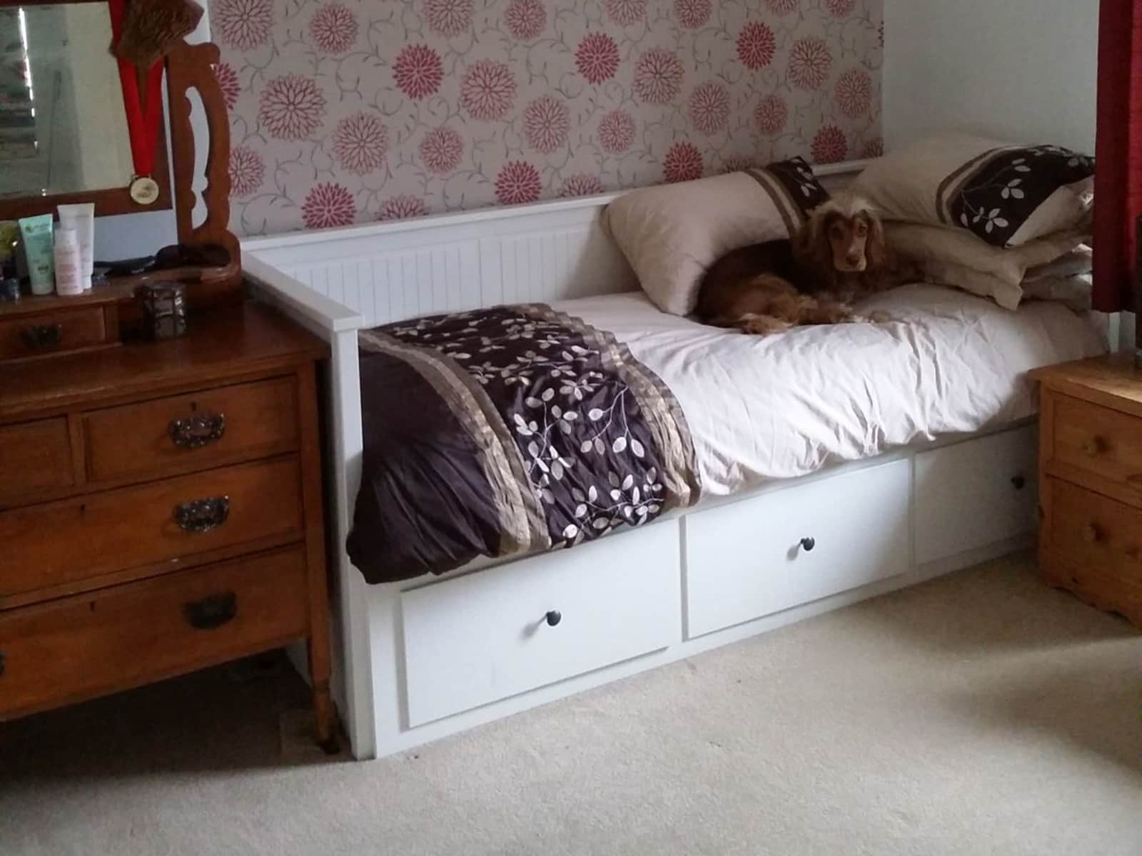 Housesitting assignment in Reading, United Kingdom