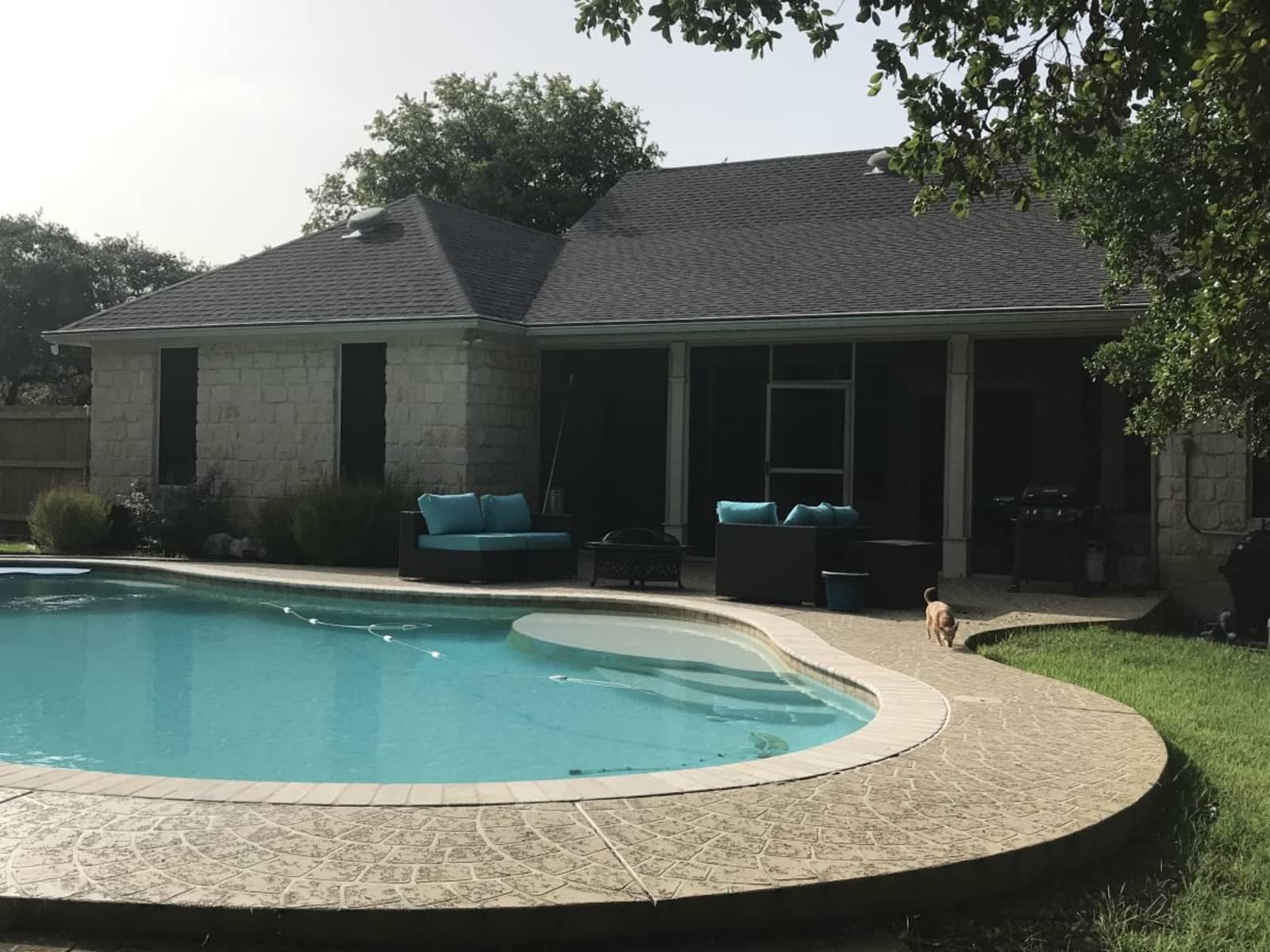 Housesitting assignment in Georgetown, Texas, United States