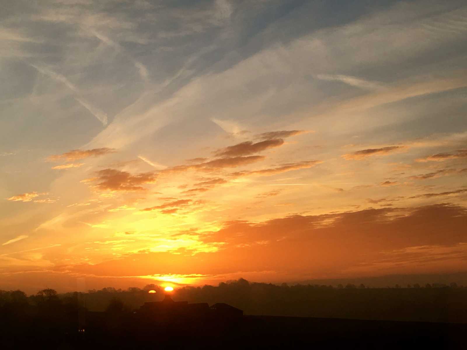 Housesitting assignment in Oxford, United Kingdom