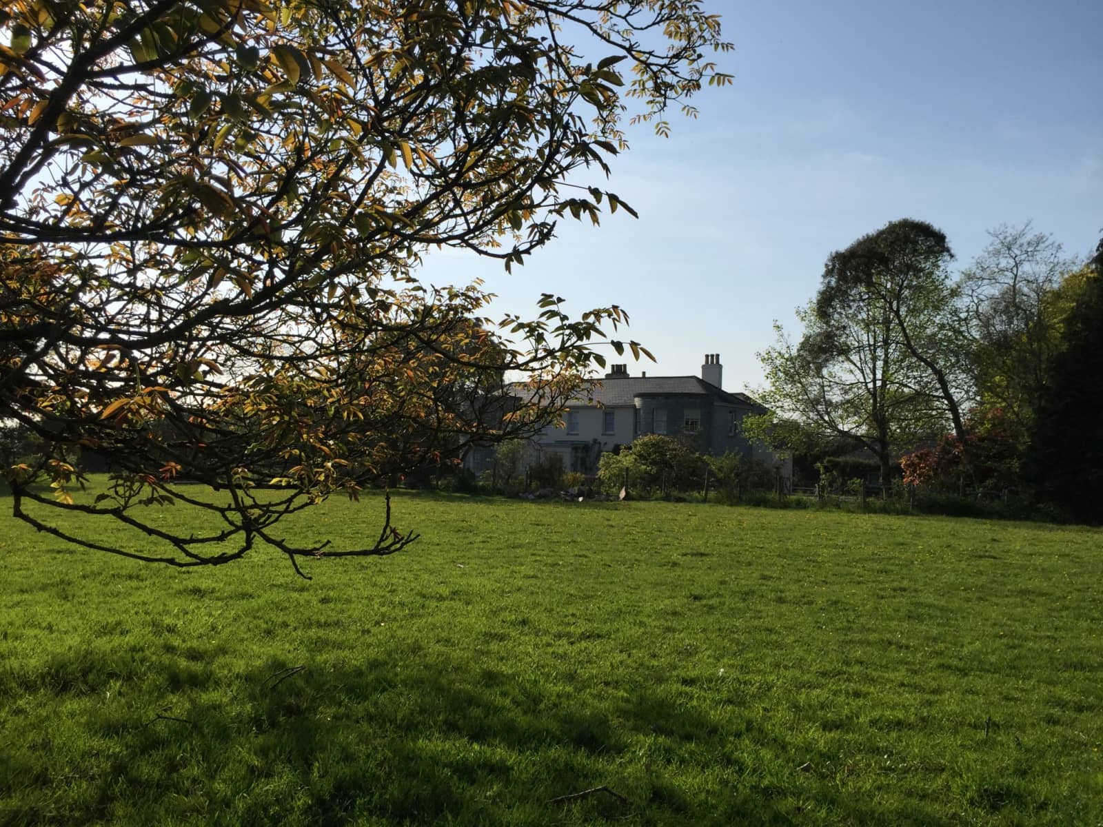 Housesitting assignment in Saltash, United Kingdom