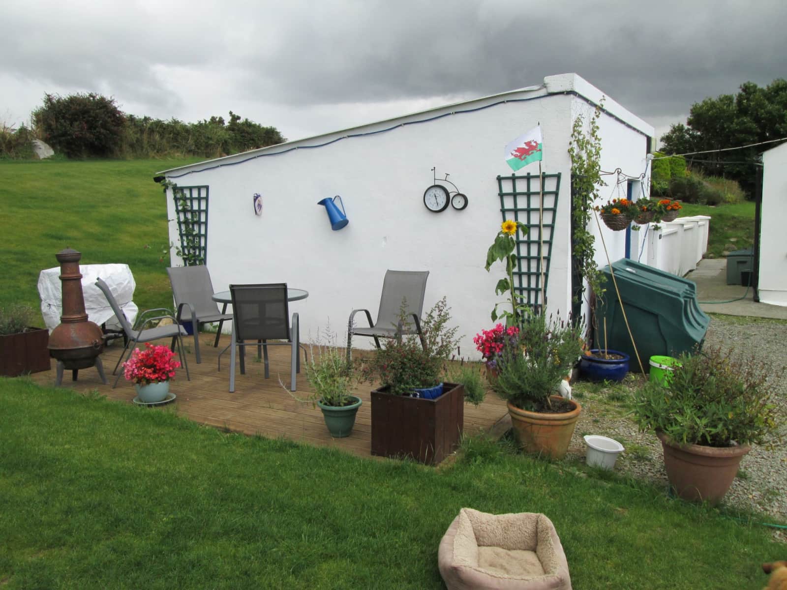 Housesitting assignment in Drimoleague, Ireland