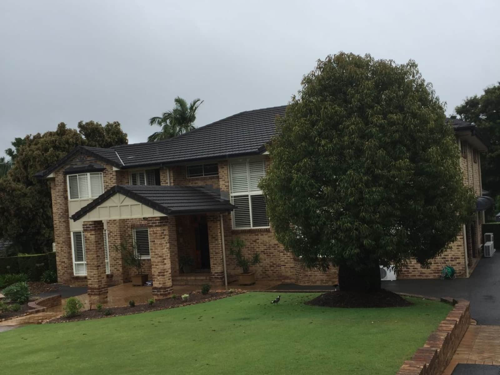 Housesitting assignment in Eight Mile Plains, Queensland, Australia