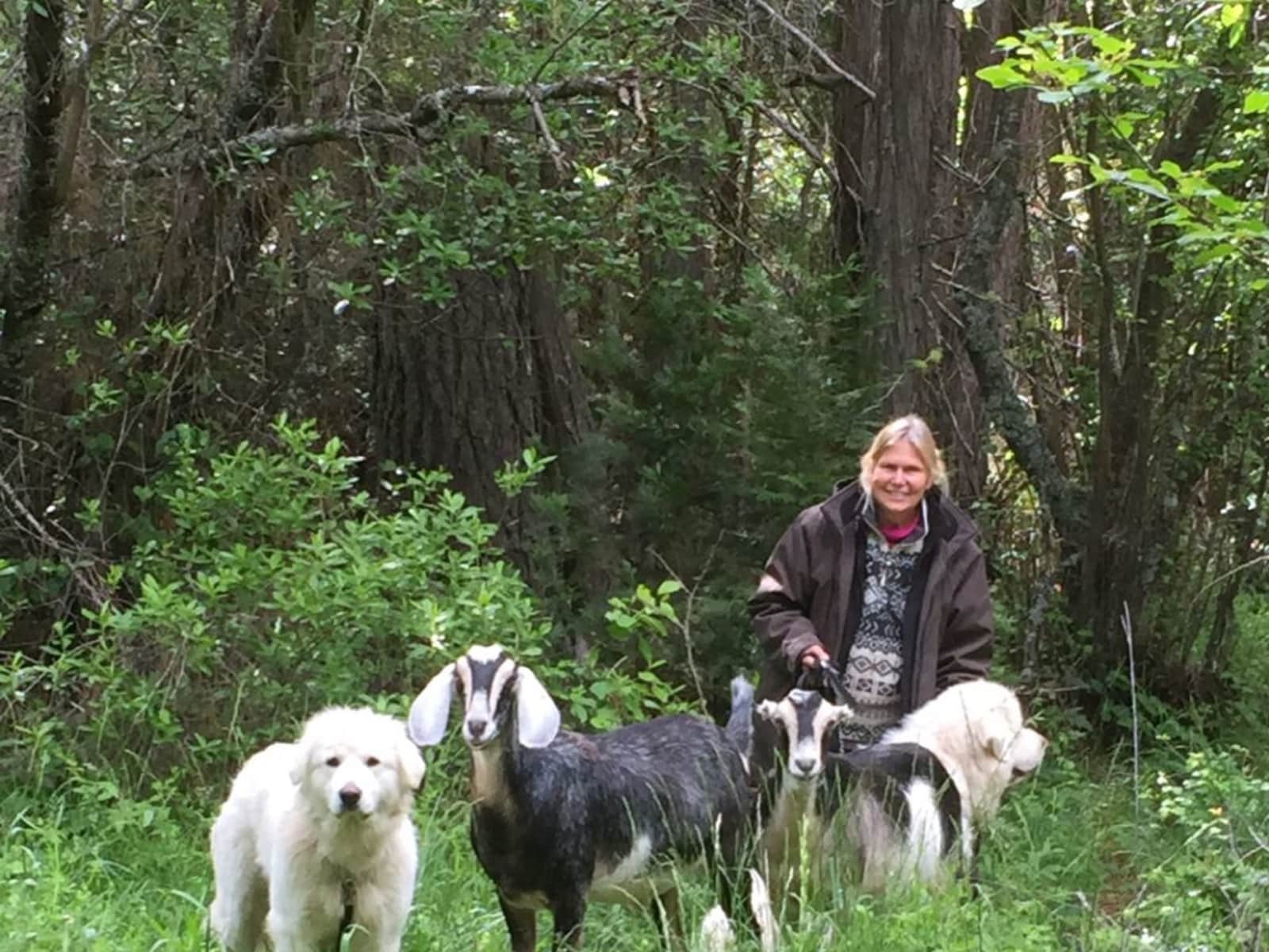 Wendy from San Diego, California, United States