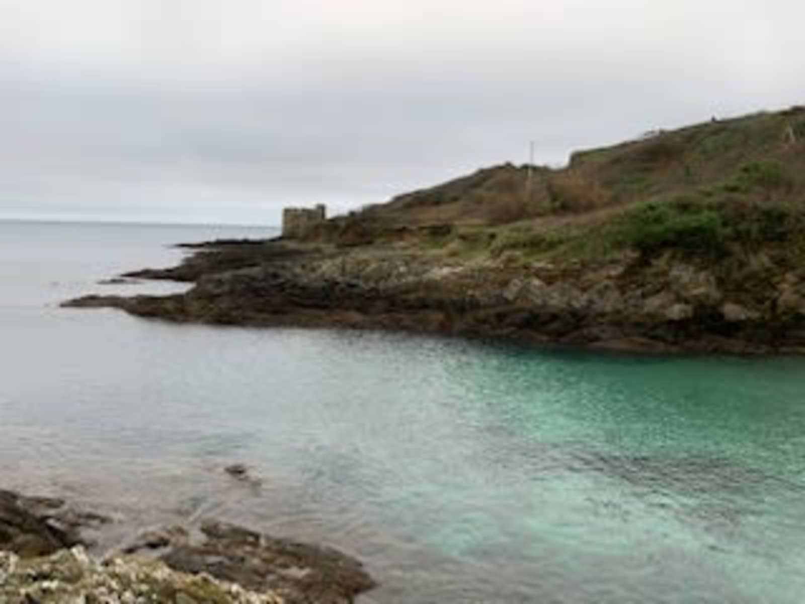 Housesitting assignment in Falmouth, United Kingdom