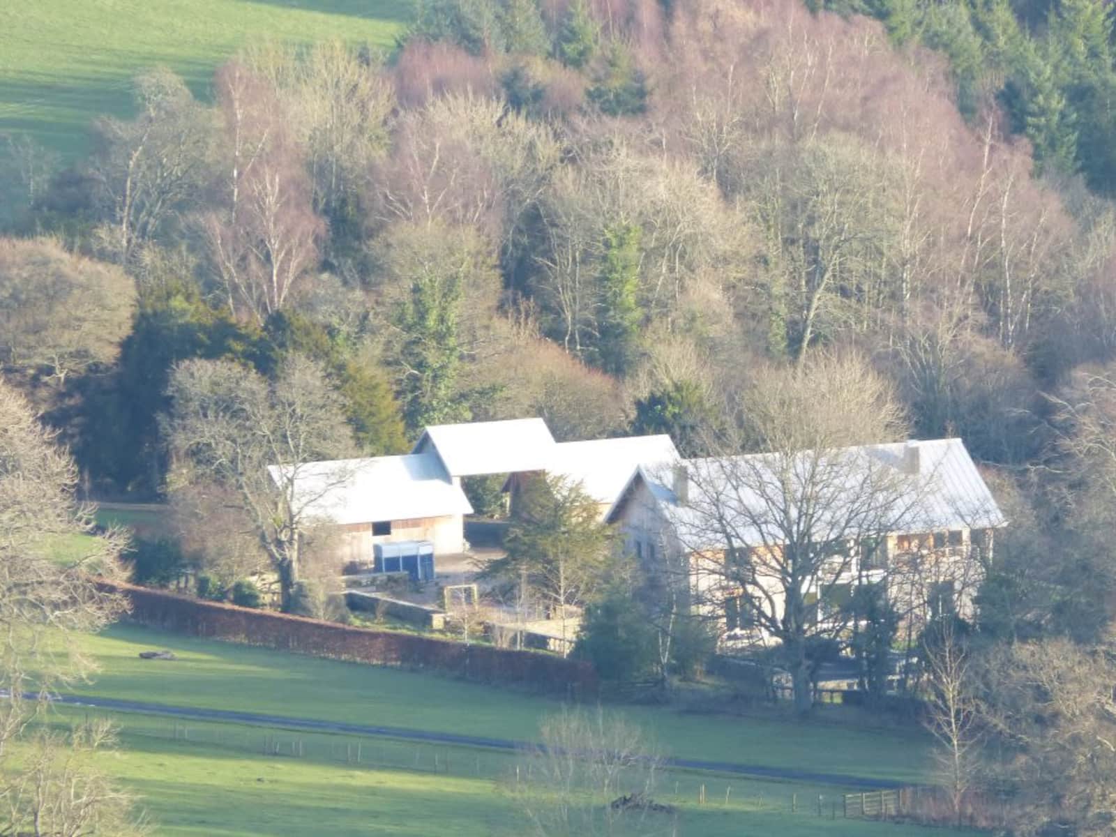 Housesitting assignment in Hawick, United Kingdom