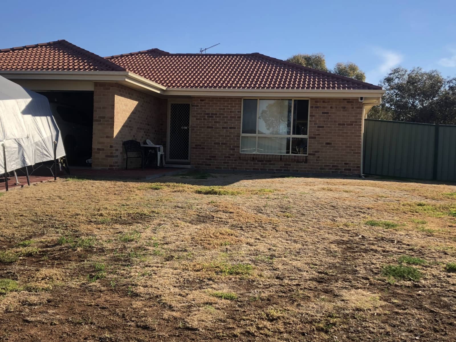 Housesitting assignment in Quirindi, New South Wales, Australia
