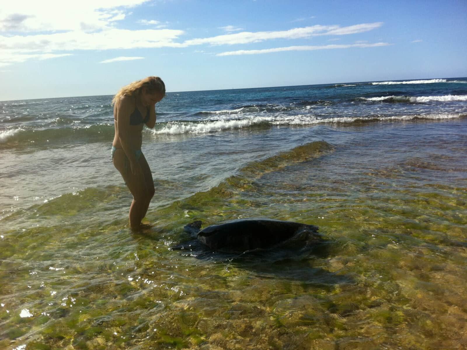 Tina from Honolulu, Hawaii, United States