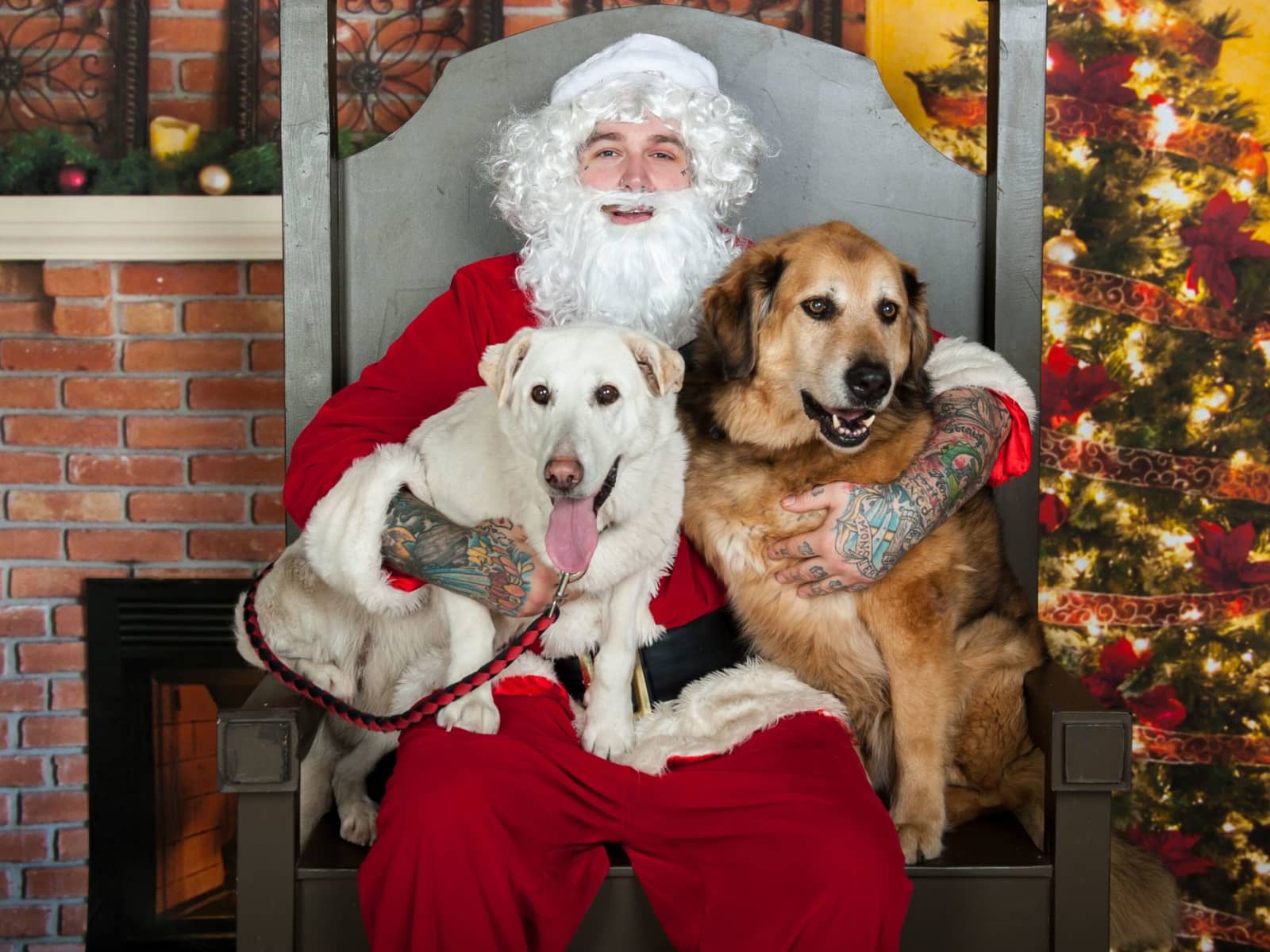 Lora & Nico from Edmonton, Alberta, Canada