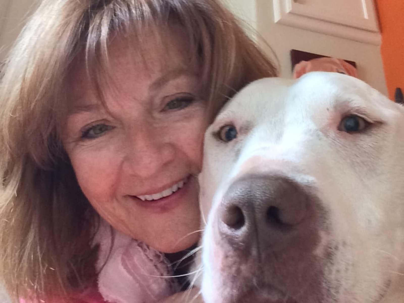 Brenda from Colorado Springs, Colorado, United States
