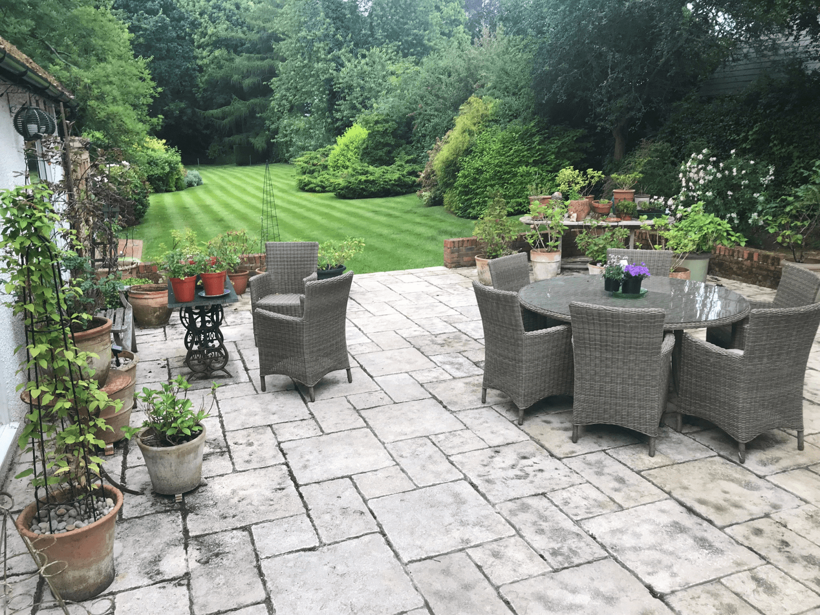 Housesitting assignment in Berkhamsted, United Kingdom