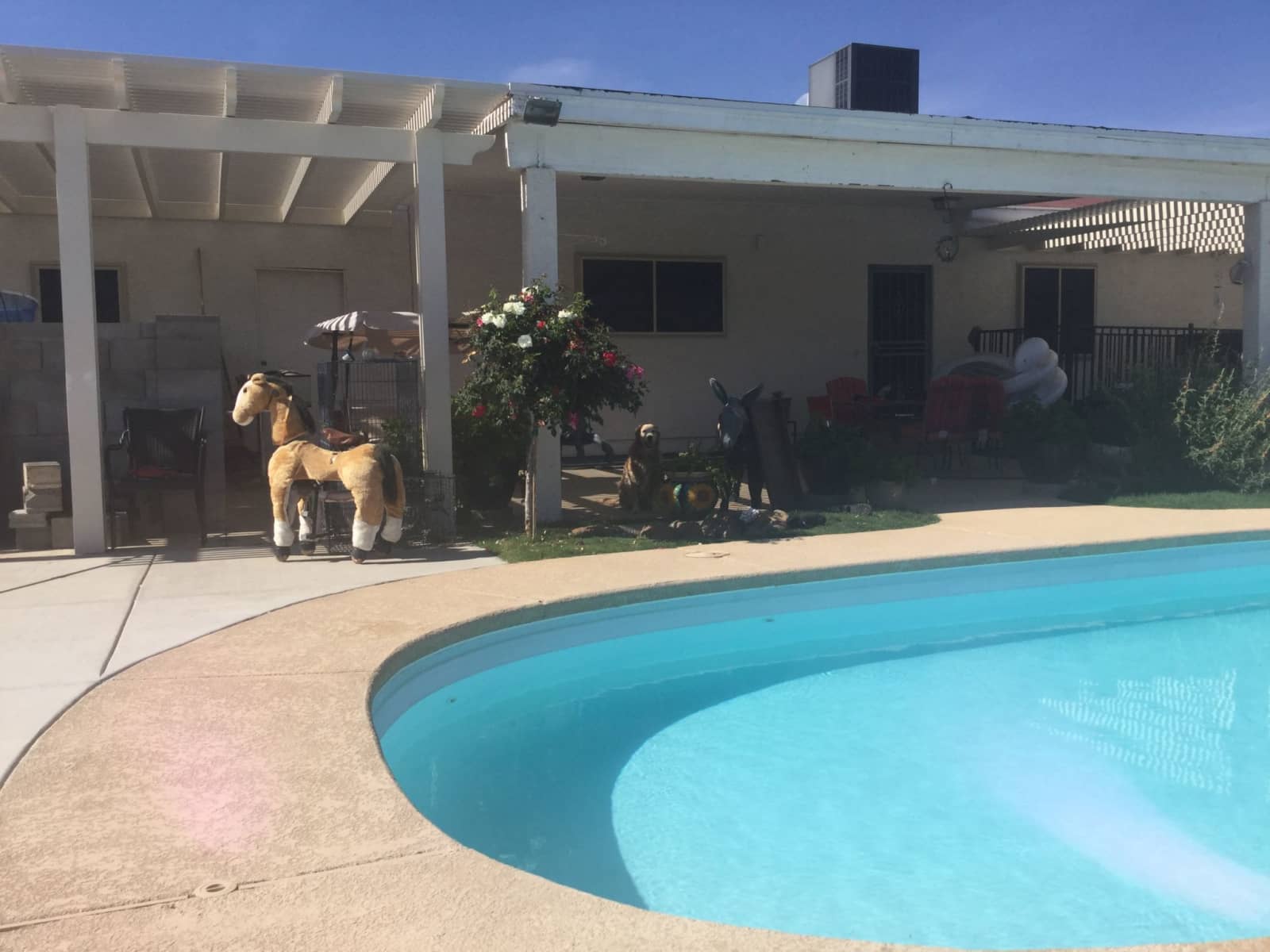 Housesitting assignment in Phoenix, Arizona, United States