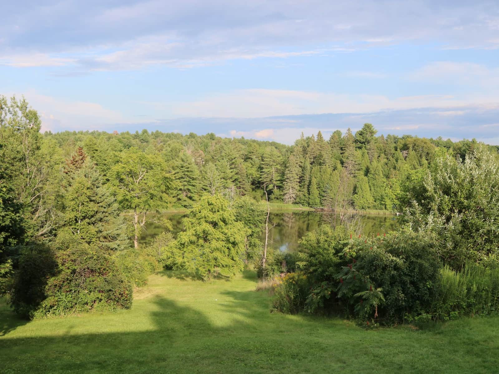 Housesitting assignment in Gatineau, Quebec, Canada