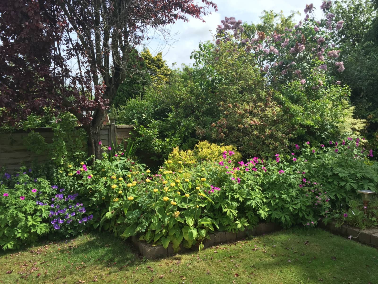 Housesitting assignment in Carlisle, United Kingdom