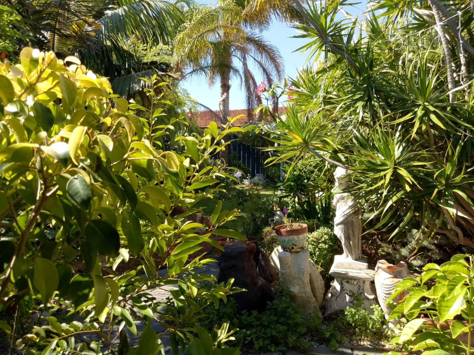 Housesitting assignment in Rockingham, Western Australia, Australia