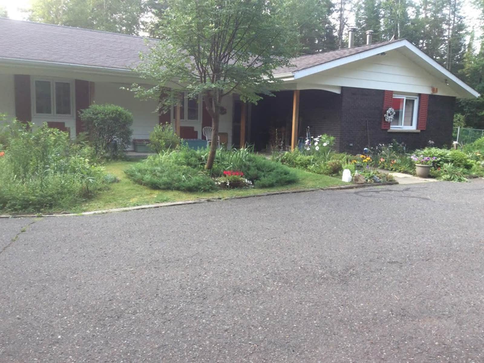 Housesitting assignment in Thunder Bay, Ontario, Canada