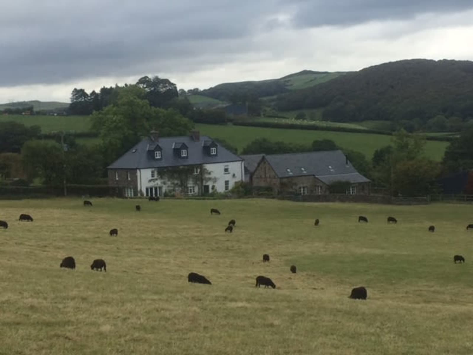 Housesitting assignment in Brecon, United Kingdom