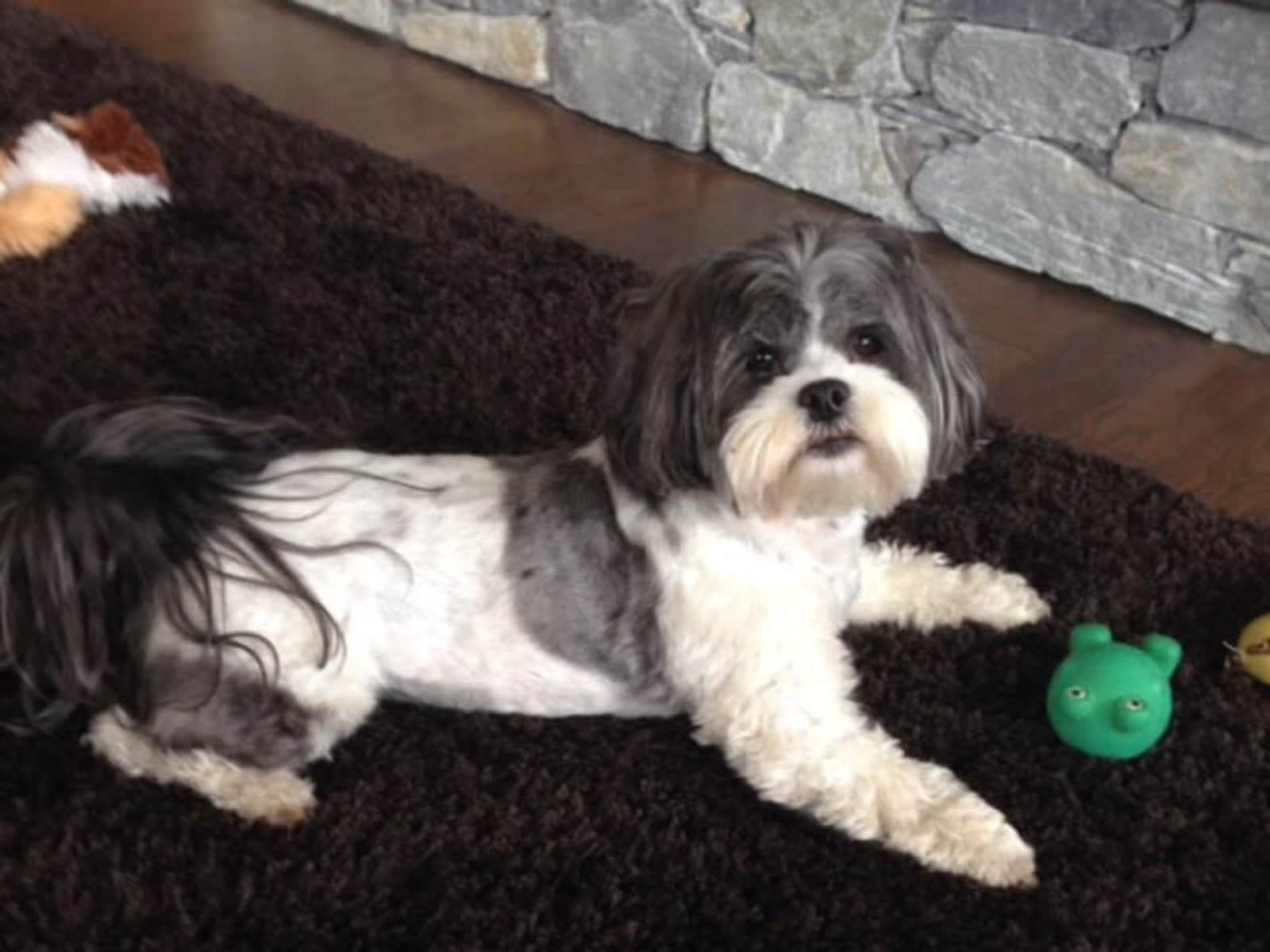 Darla & Jim from Nanaimo, British Columbia, Canada