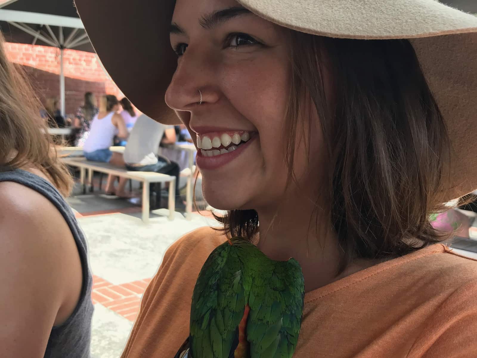 Bridget from Chicago, Illinois, United States