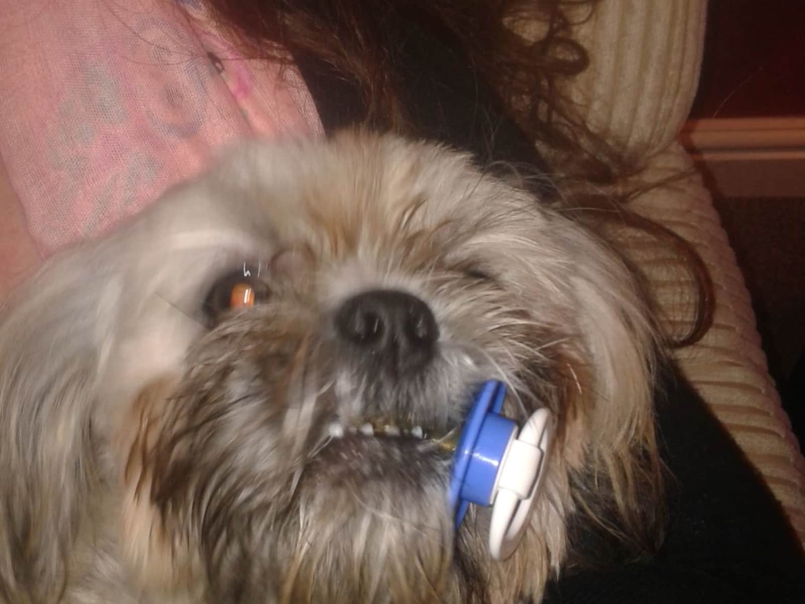 Debbie from Sutton in Ashfield, United Kingdom