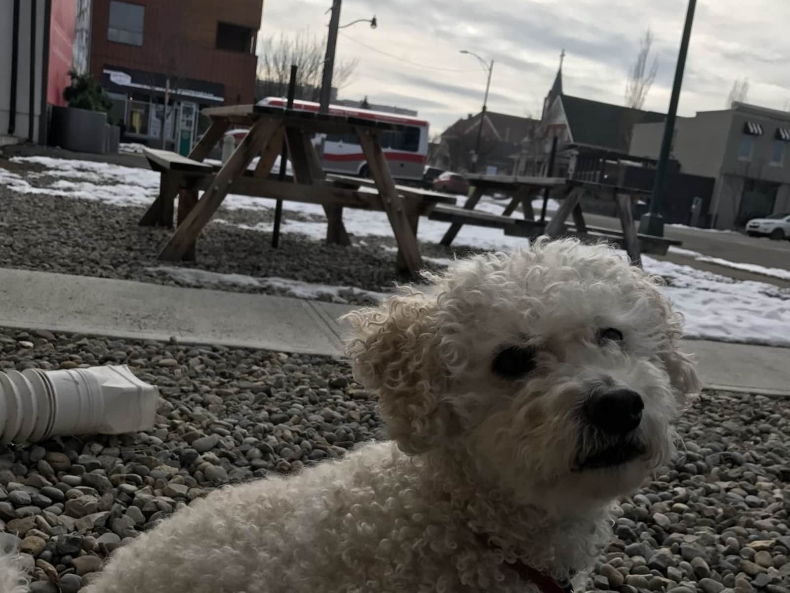 Marie from Calgary, Alberta, Canada
