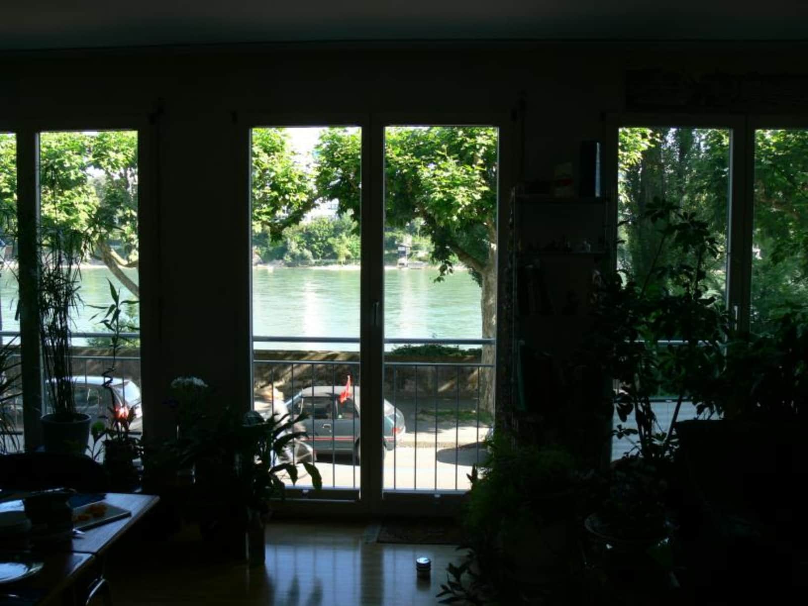 Housesitting assignment in Basel, Switzerland