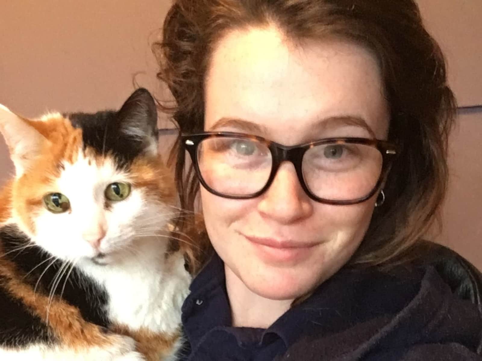 Harri from Wells, United Kingdom