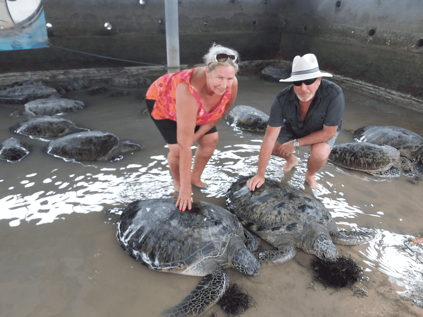 Suzy & John from Townsville, Queensland, Australia