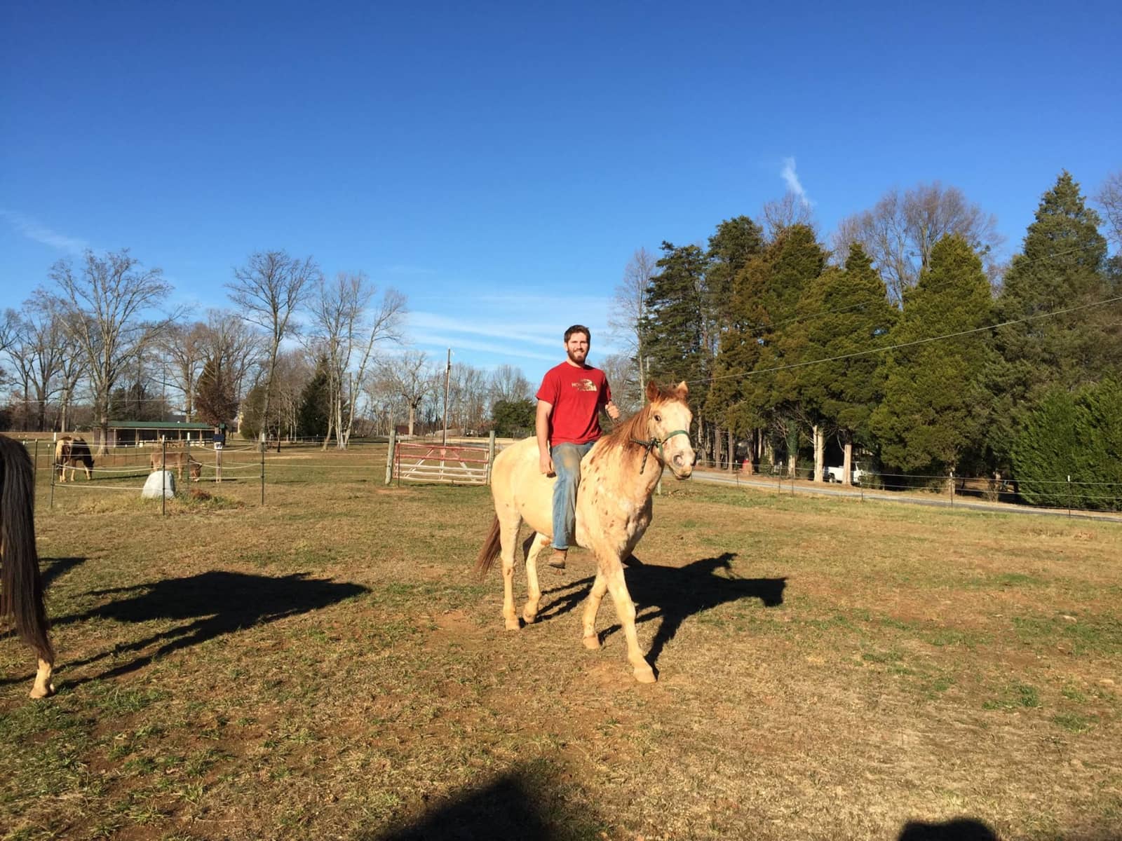 Alexander from Boone, North Carolina, United States