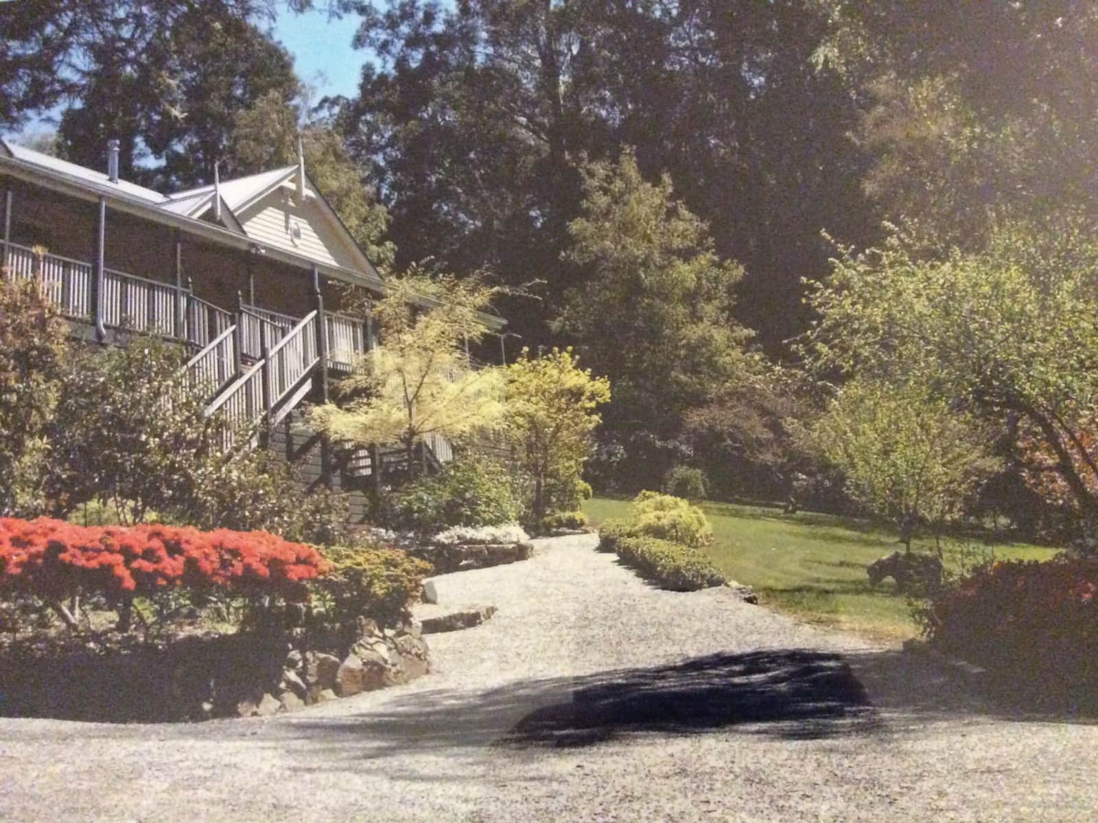 Housesitting assignment in Mount Dandenong, Victoria, Australia