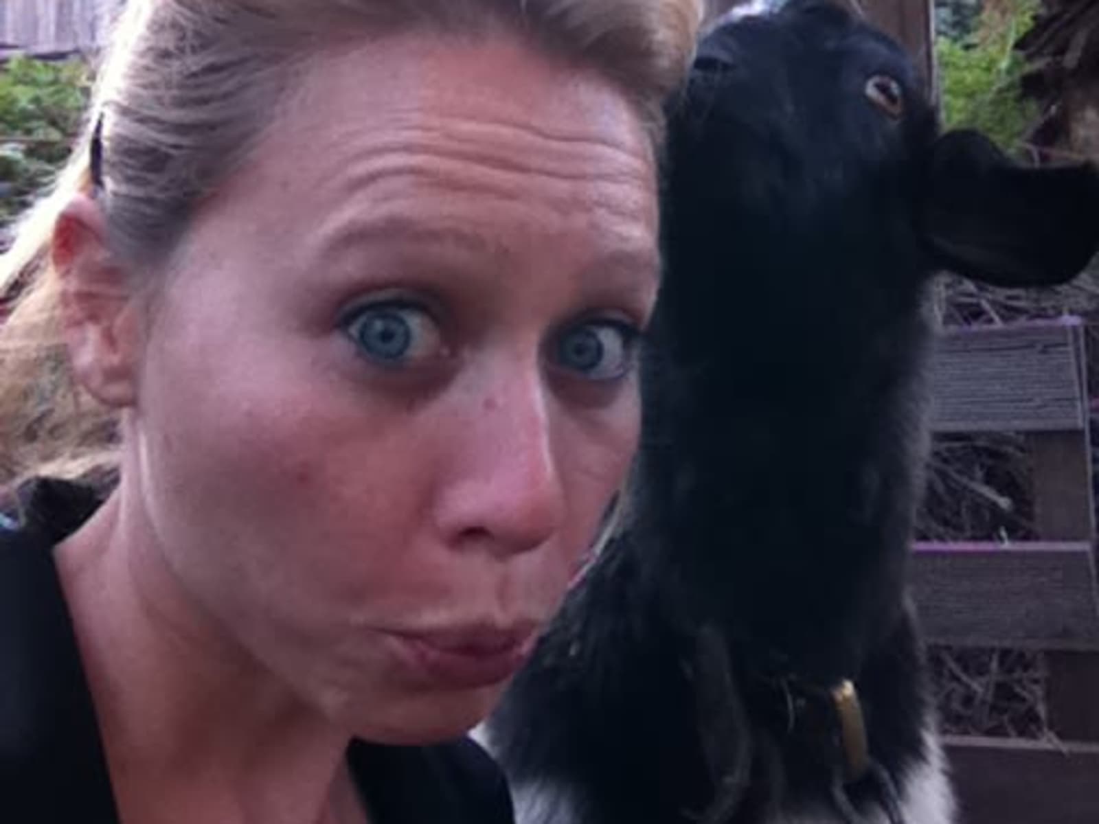 Laurie & Alex from Sydney, New South Wales, Australia