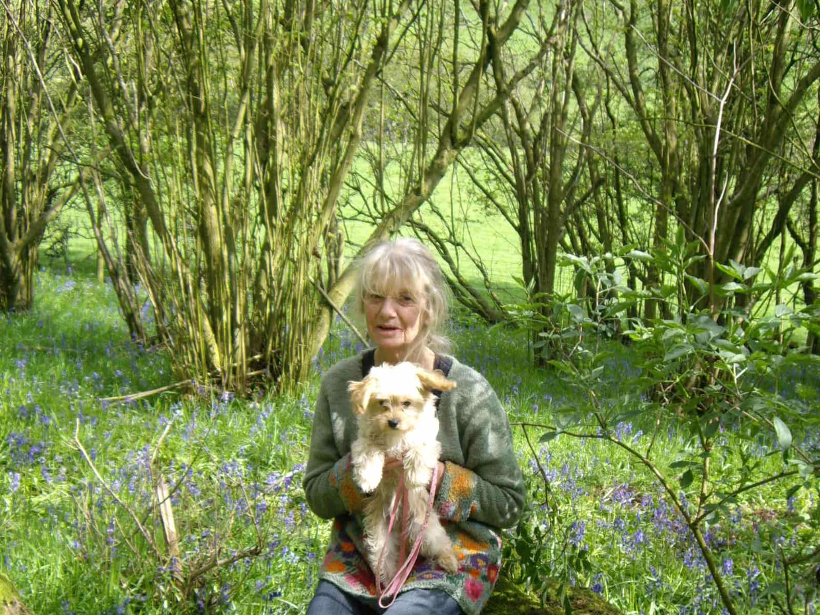 Housesitting assignment in Church Stretton, United Kingdom