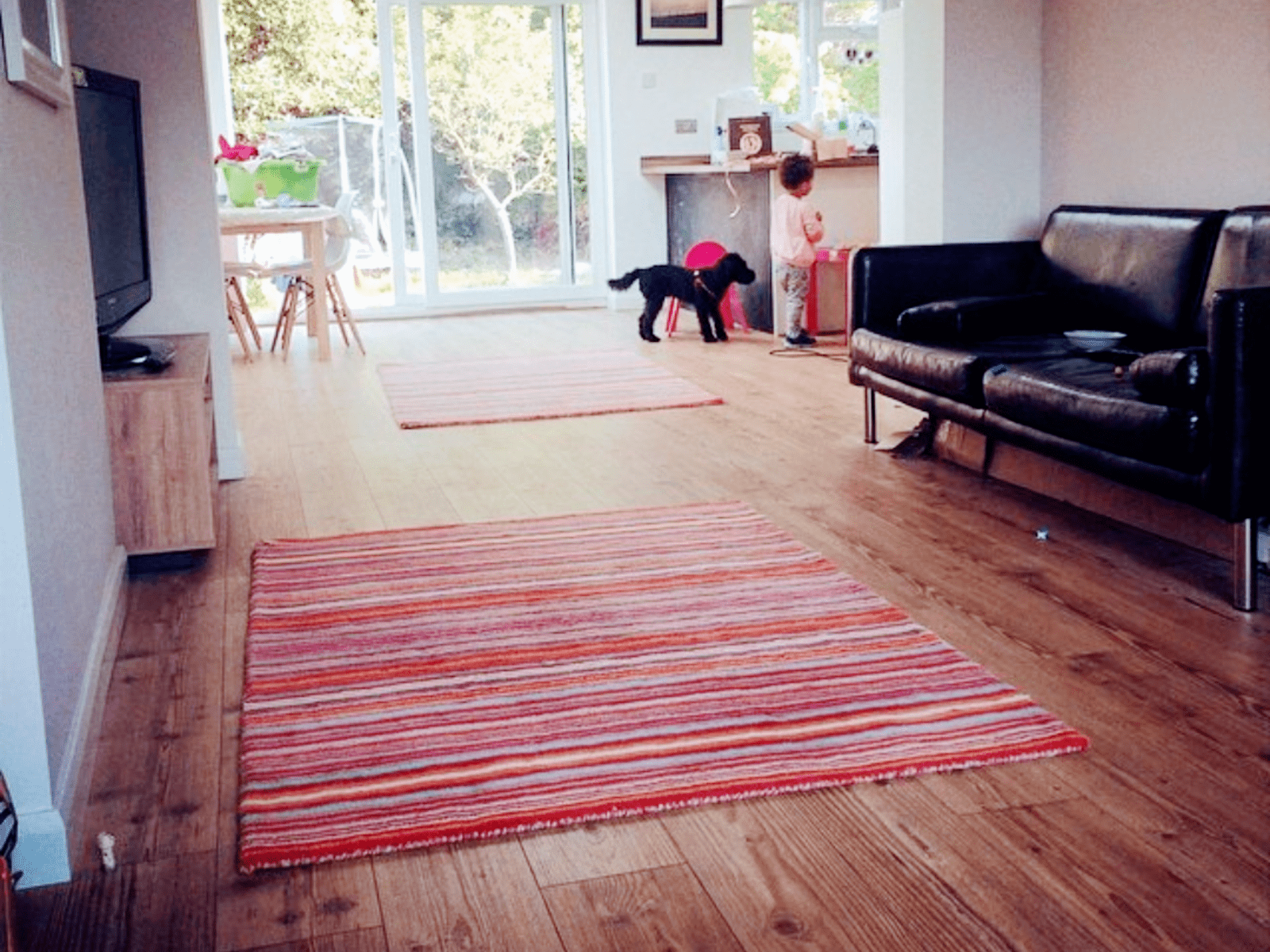 Housesitting assignment in Leigh-on-Sea, United Kingdom