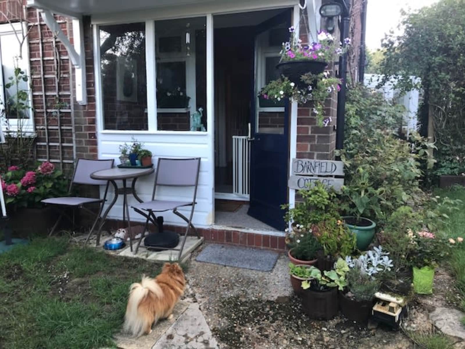 Housesitting assignment in Petersfield, United Kingdom